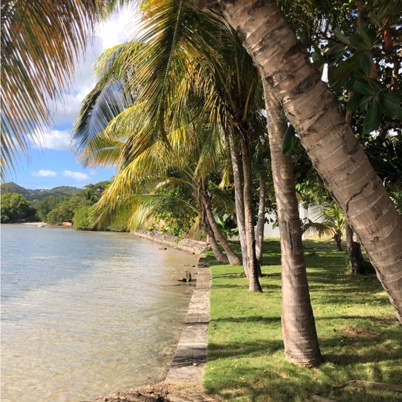 SORRY ,MY CLOSET IS CLOSING IN A MONTH - Picture 16 of 17